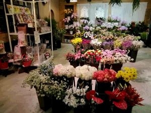 お久しぶりの更新です( ;∀;)「花の店くぼた園」（鹿児島県日置市の花屋）のギャラリー写真